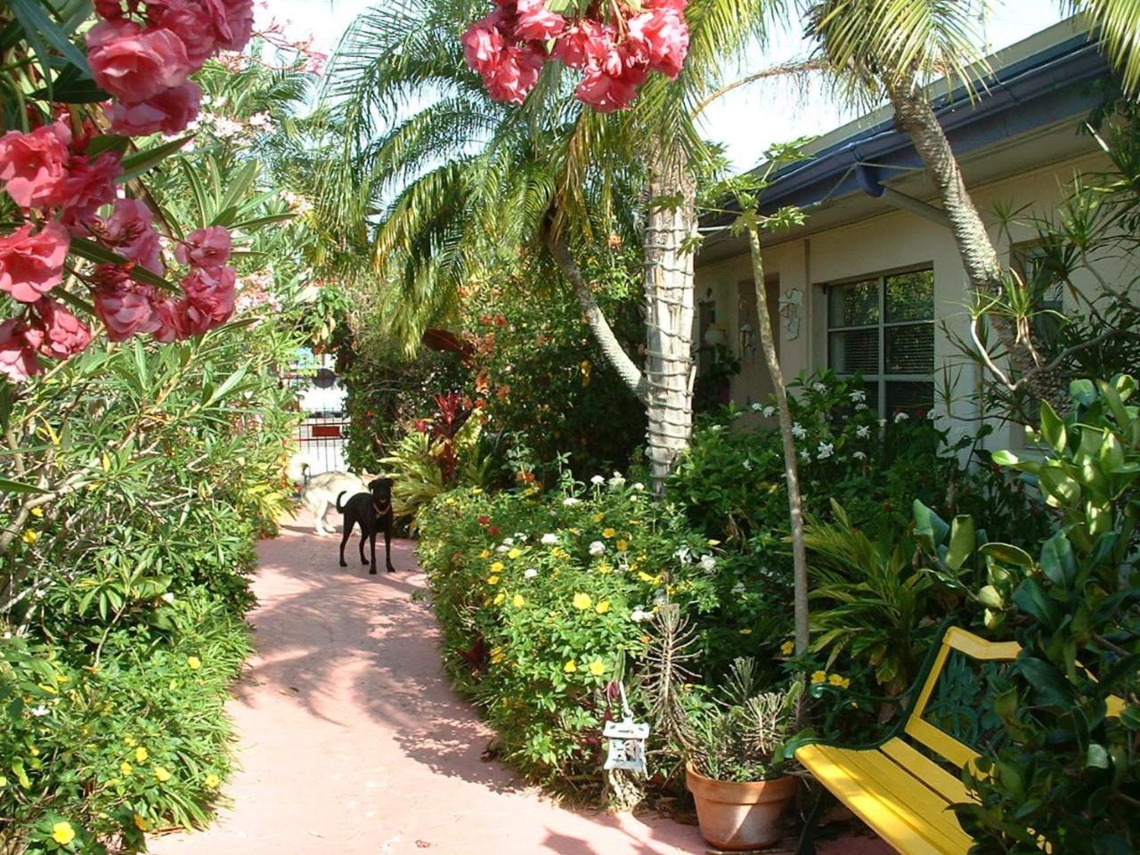 Affordable Beach Condos - One Bedroom Dlx Condos St. Pete Beach Bagian luar foto